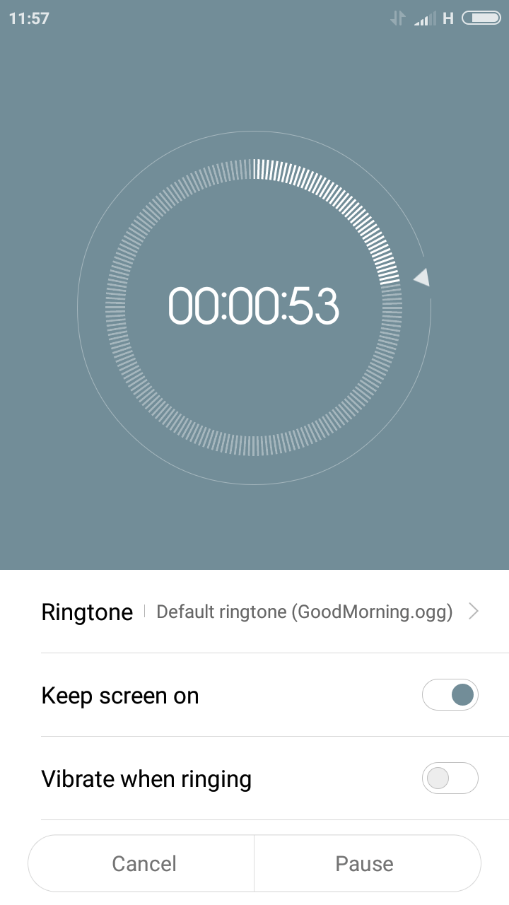 about 2/3rd's down the screen are three buttons that are 1cm apart. /Ringtone, keep screen on and a vibrate when ringing button. below that to the left is the cancel button and the pause/continue button